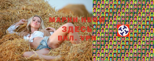 стаф Абаза