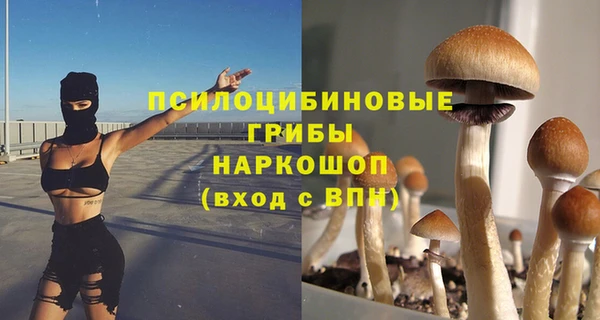 стаф Абаза